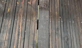 木家小木最新爆料,揭秘娱乐圈最新动态