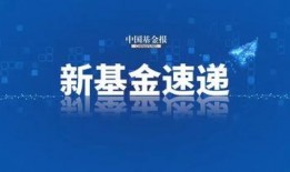 和平基金最新爆料新闻,揭秘重大国际和平项目进展
